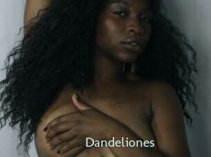 Dandeliones