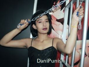 DaniPunish