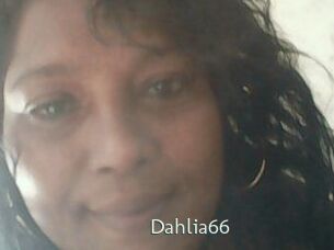 Dahlia66
