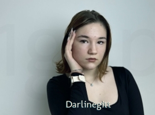 darlinegitt 1 grosse chatte poilue