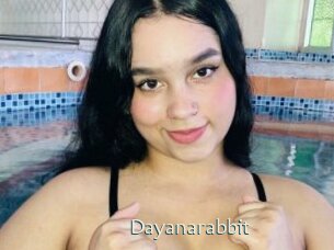 Dayanarabbit