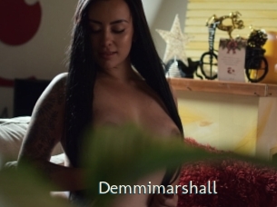Demmimarshall