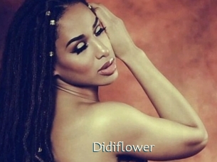 Didiflower