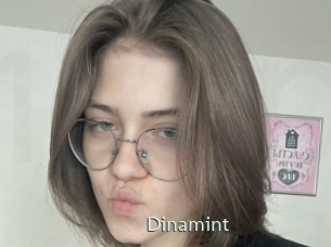 Dinamint