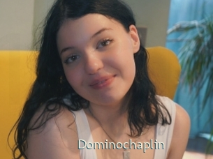 dominochaplin 1 grosse chatte poilue