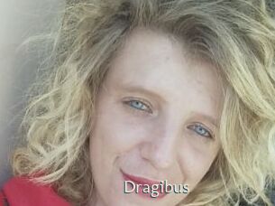 Dragibus