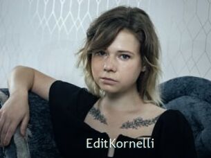 EditKornelli 1 grosse chatte poilue