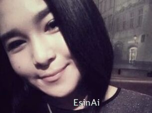 EsinAi