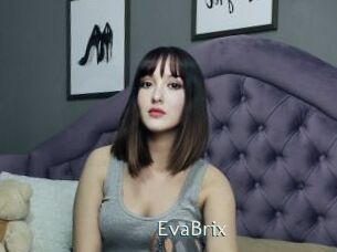 EvaBrix