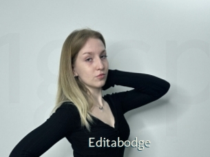 Editabodge
