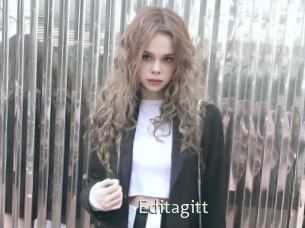 Editagitt