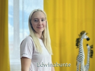Edwinabunte
