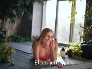 Electricflower
