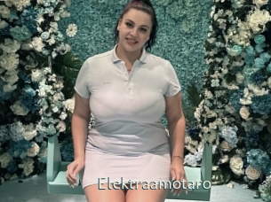 Elektraamotaro