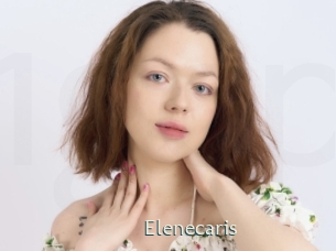 Elenecaris