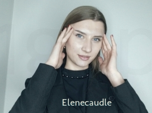 Elenecaudle