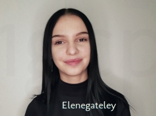 Elenegateley