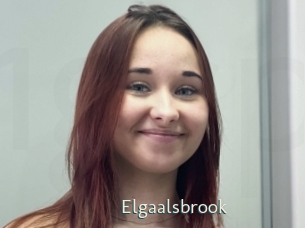 Elgaalsbrook