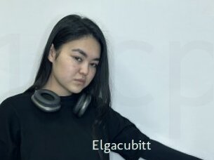 Elgacubitt