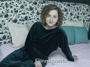 Elinmagnetic