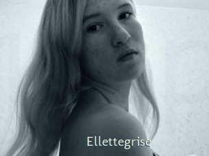 ellettegrise 1 grosse chatte poilue