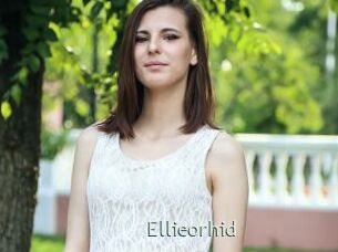 Ellieorhid