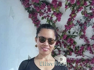 Ellisville23