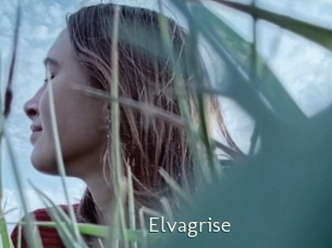 Elvagrise