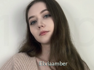 Elviaamber