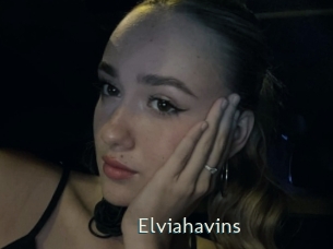Elviahavins