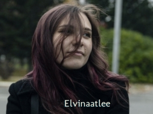 Elvinaatlee