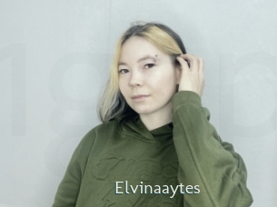 Elvinaaytes