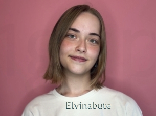 Elvinabute
