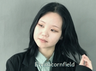 Elvinacornfield