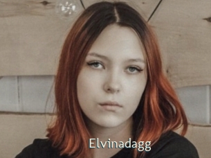 Elvinadagg