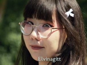 Elvinagitt