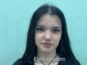 Elvinagossett