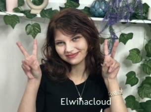Elwinacloud
