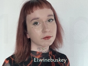 Elwinebuskey