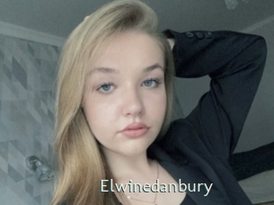 Elwinedanbury