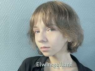 Elwinegallant