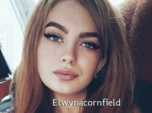 Elwynacornfield