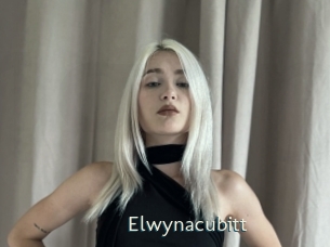 Elwynacubitt