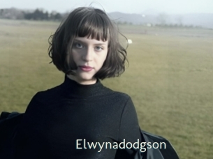 Elwynadodgson