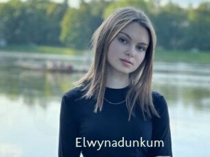 Elwynadunkum