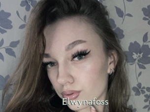 Elwynafoss