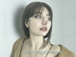 Elwynagallamore
