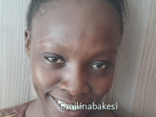 Emilinabakesi