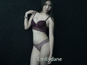 emilydane 1 grosse chatte poilue