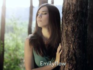 Emilyflow